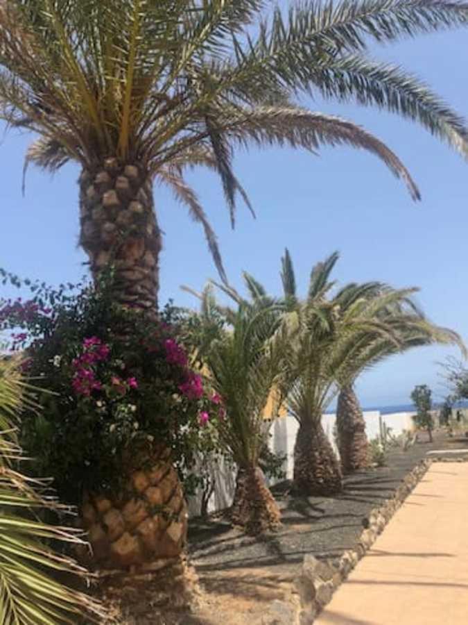 Amaya Relax Коста де Антигуа Екстериор снимка